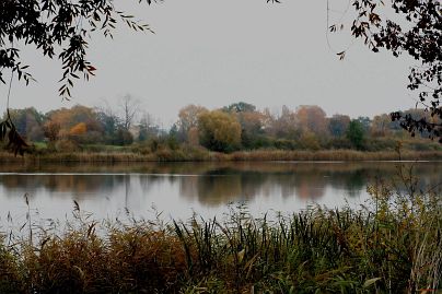 Herbstfoto von Czeslaw Gorski-002-herbstfoto-czeslaw-gorski-see-am-lebehn