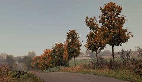 Herbstfoto von Czeslaw Gorski-041-herbstfoto-czeslaw-gorski-herbststrasse-in-der-am-pampow
