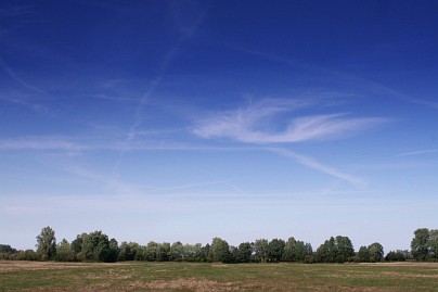 Sommer Foto von Czeslaw Gorski-057-wiese-mit-wolkenlosem-himmel